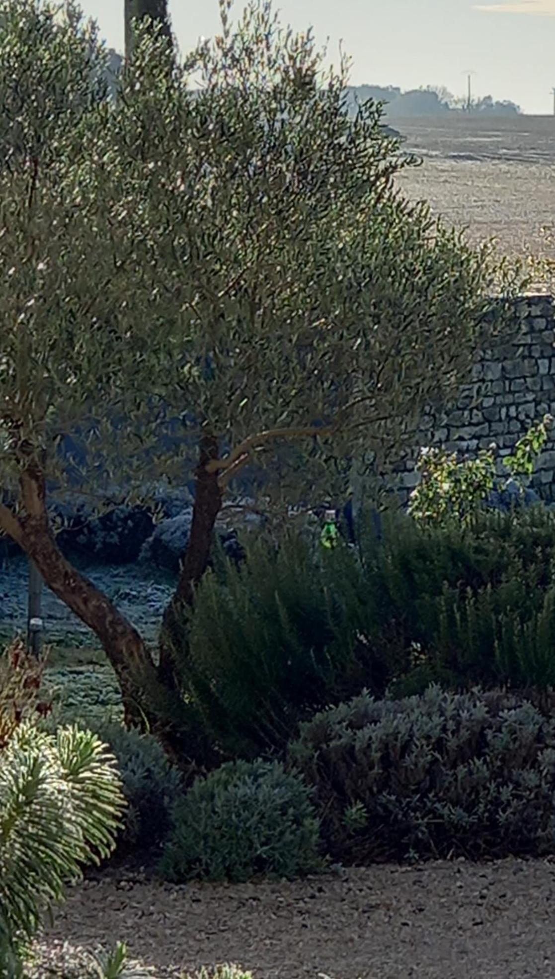 לינה וארוחת בוקר Soulignonne La Mesonnetta מראה חיצוני תמונה